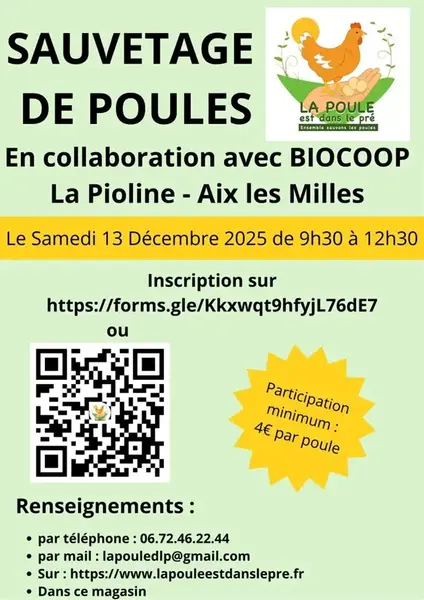 Sauvetage de poules rousses d'élevage bio